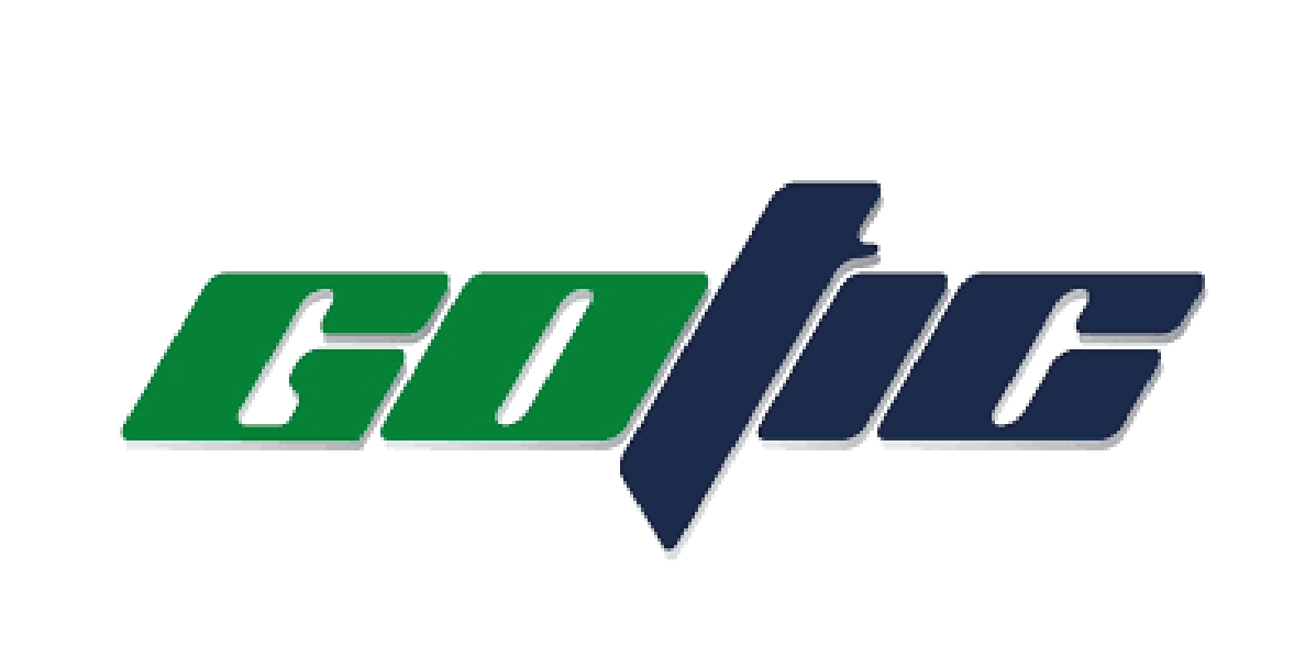 Logo de GOTIC